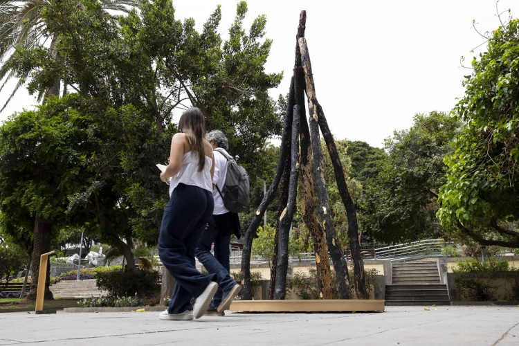 Imagen de una noticia «Biotopías 5» regresa al Doramas con una propuesta que conecta ecología, arte y espacio público
